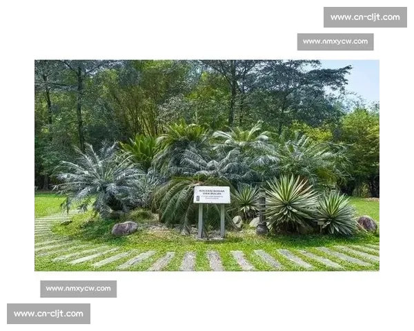 金杯赛非洲独苗：南非 2005 年的跨洋之旅